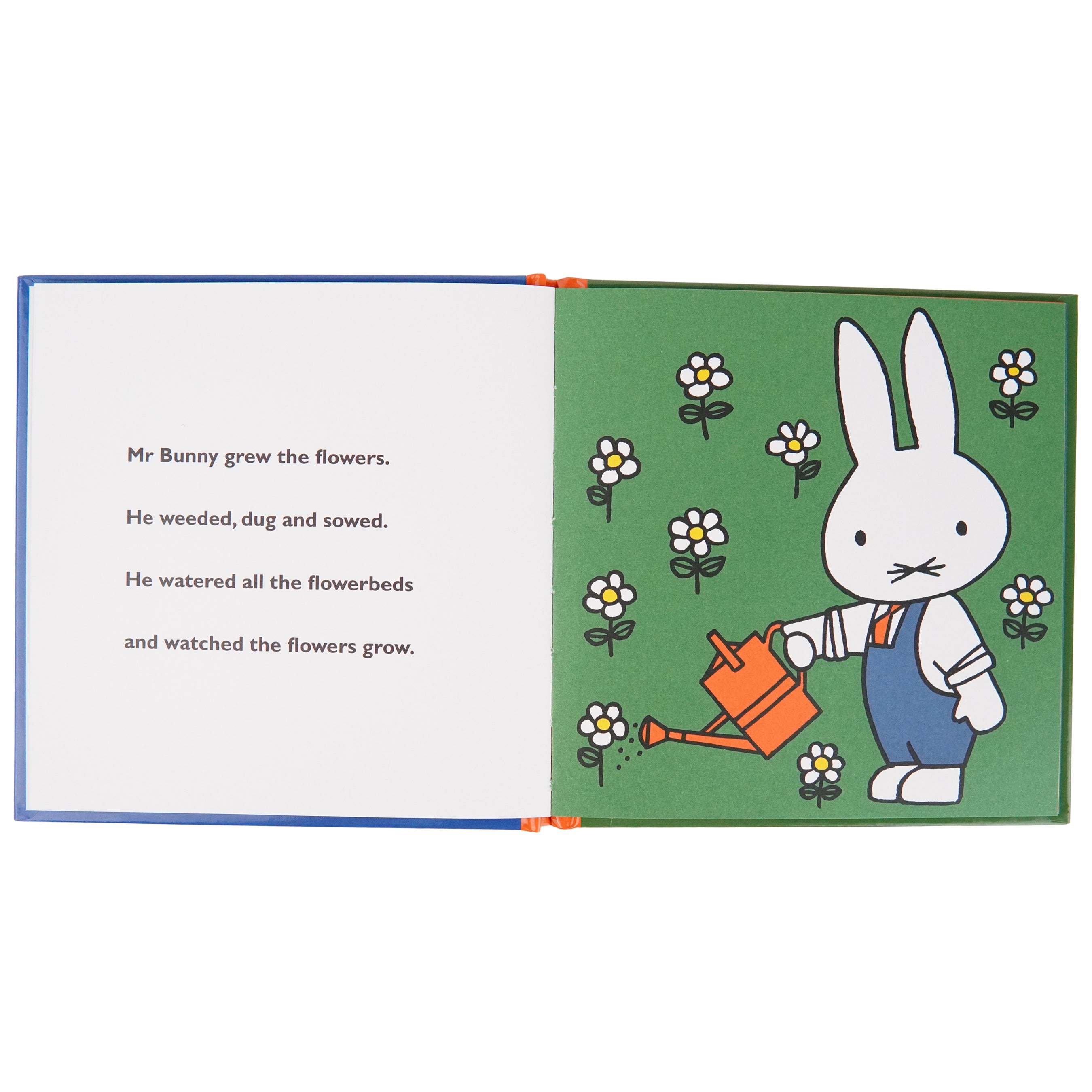 Miffy