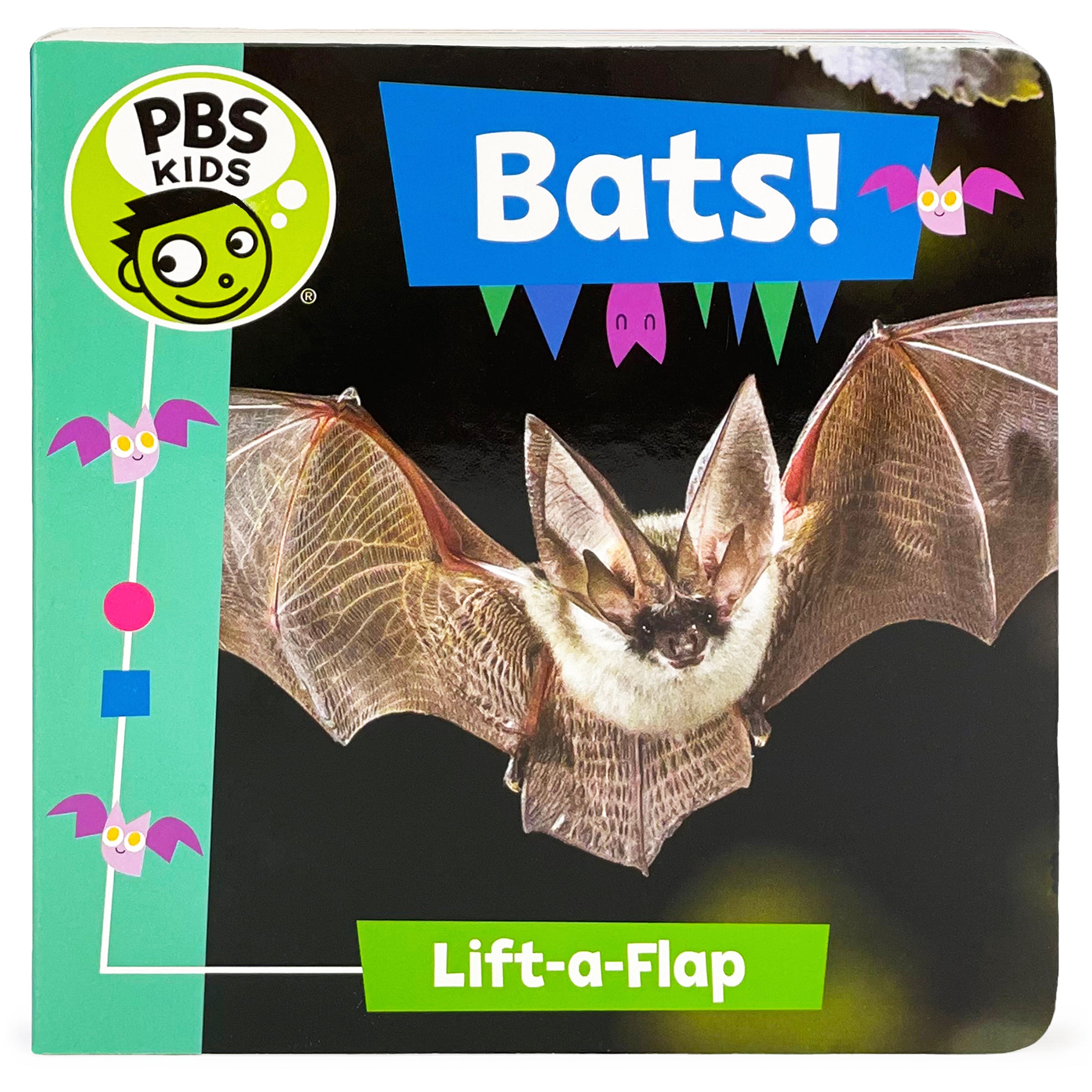 KIDS　PBS　Bats!