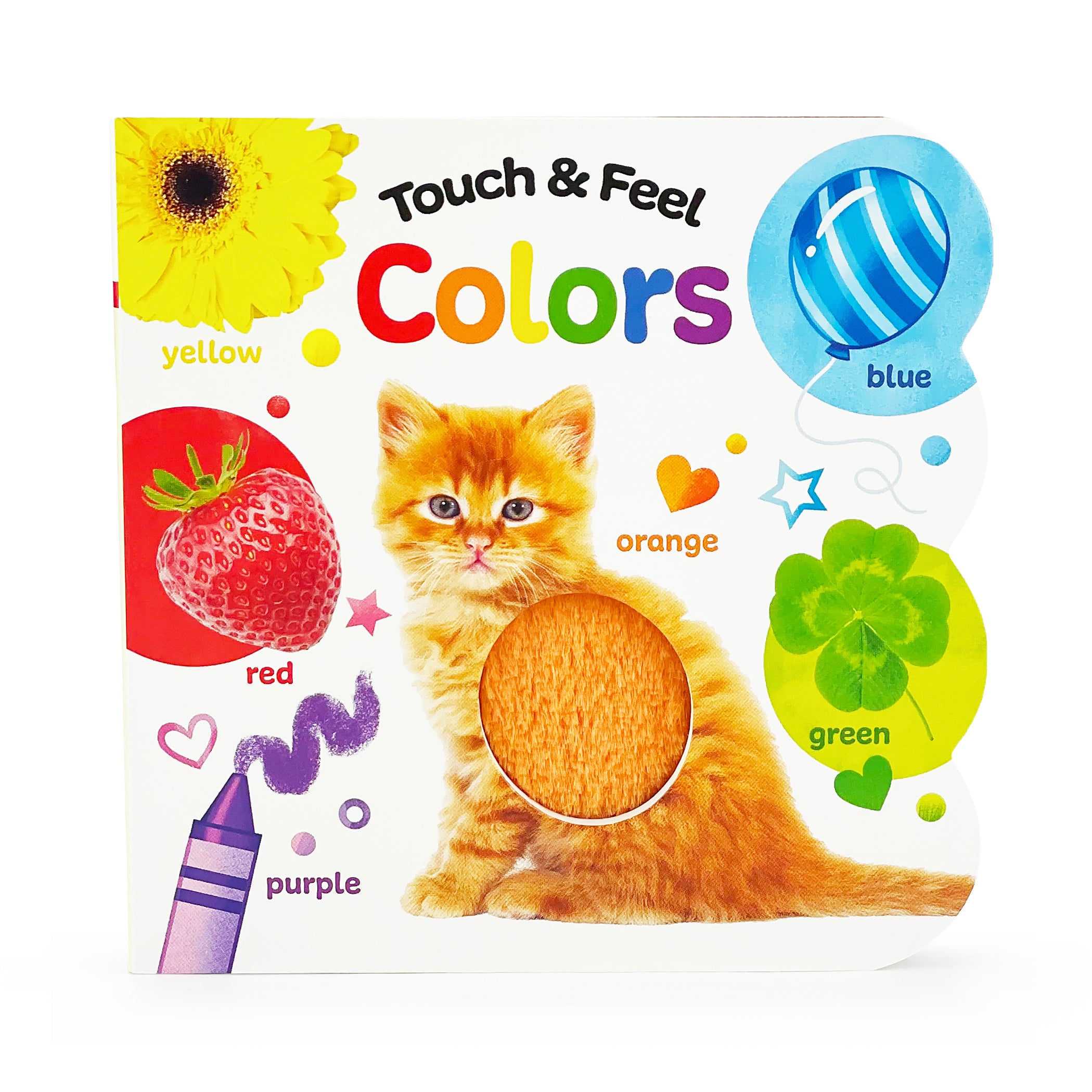 See, Touch, Feel: Colors
